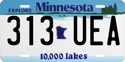 MN license plate 313UEA