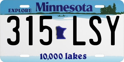 MN license plate 315LSY