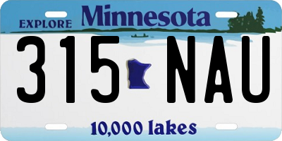 MN license plate 315NAU