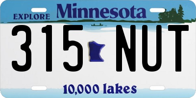 MN license plate 315NUT