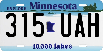 MN license plate 315UAH