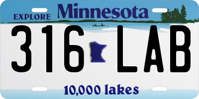 MN license plate 316LAB
