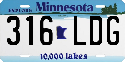 MN license plate 316LDG