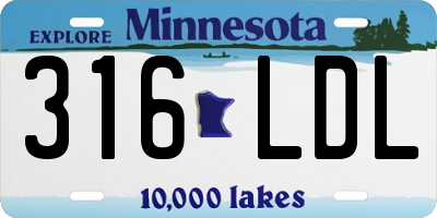 MN license plate 316LDL
