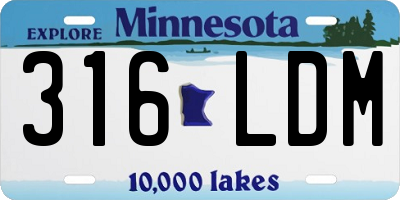 MN license plate 316LDM