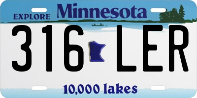 MN license plate 316LER