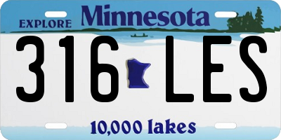 MN license plate 316LES