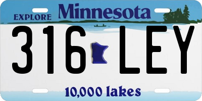 MN license plate 316LEY