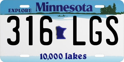 MN license plate 316LGS