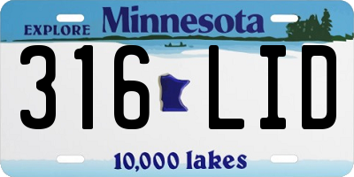 MN license plate 316LID
