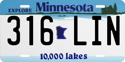 MN license plate 316LIN