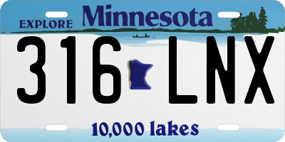 MN license plate 316LNX