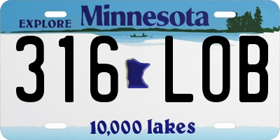 MN license plate 316LOB