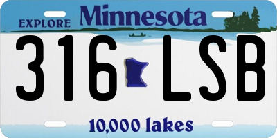 MN license plate 316LSB