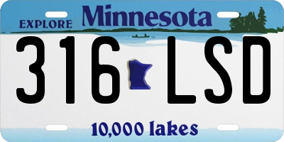 MN license plate 316LSD