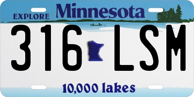 MN license plate 316LSM
