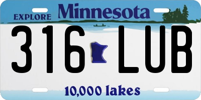 MN license plate 316LUB