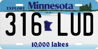 MN license plate 316LUD