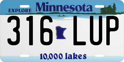 MN license plate 316LUP