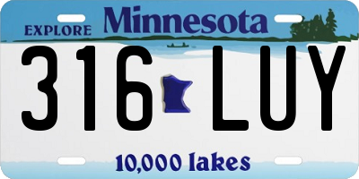MN license plate 316LUY