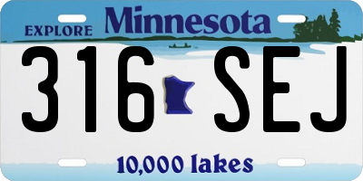 MN license plate 316SEJ