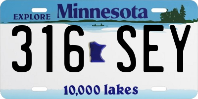 MN license plate 316SEY