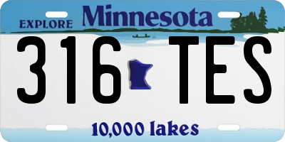 MN license plate 316TES