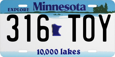 MN license plate 316TOY