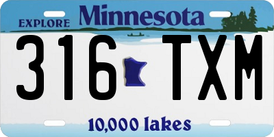 MN license plate 316TXM