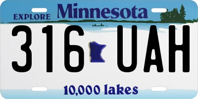 MN license plate 316UAH