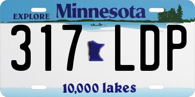 MN license plate 317LDP