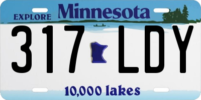 MN license plate 317LDY