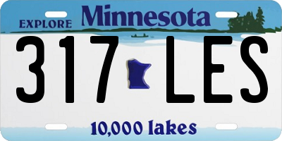 MN license plate 317LES
