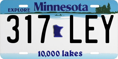 MN license plate 317LEY