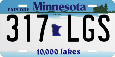 MN license plate 317LGS