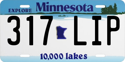 MN license plate 317LIP