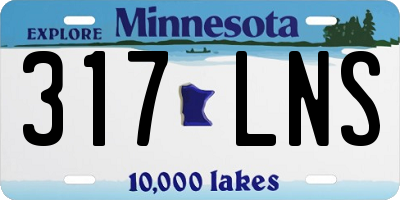 MN license plate 317LNS