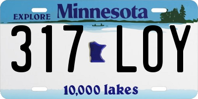 MN license plate 317LOY