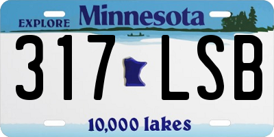 MN license plate 317LSB