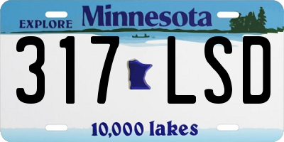 MN license plate 317LSD