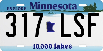 MN license plate 317LSF