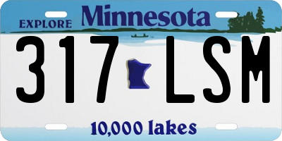 MN license plate 317LSM