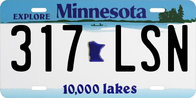 MN license plate 317LSN