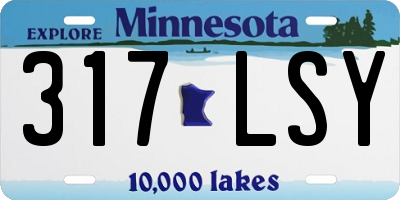 MN license plate 317LSY