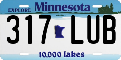 MN license plate 317LUB
