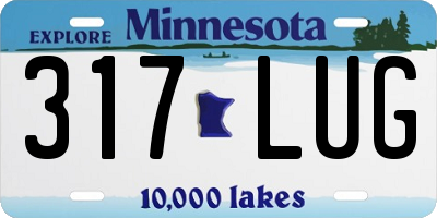 MN license plate 317LUG