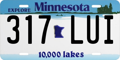 MN license plate 317LUI