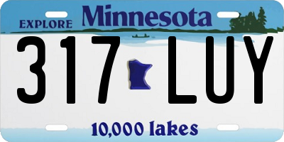 MN license plate 317LUY