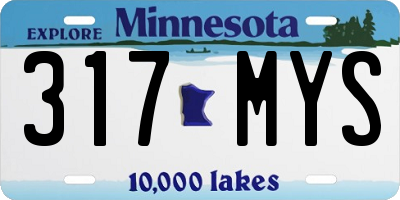 MN license plate 317MYS