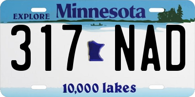 MN license plate 317NAD